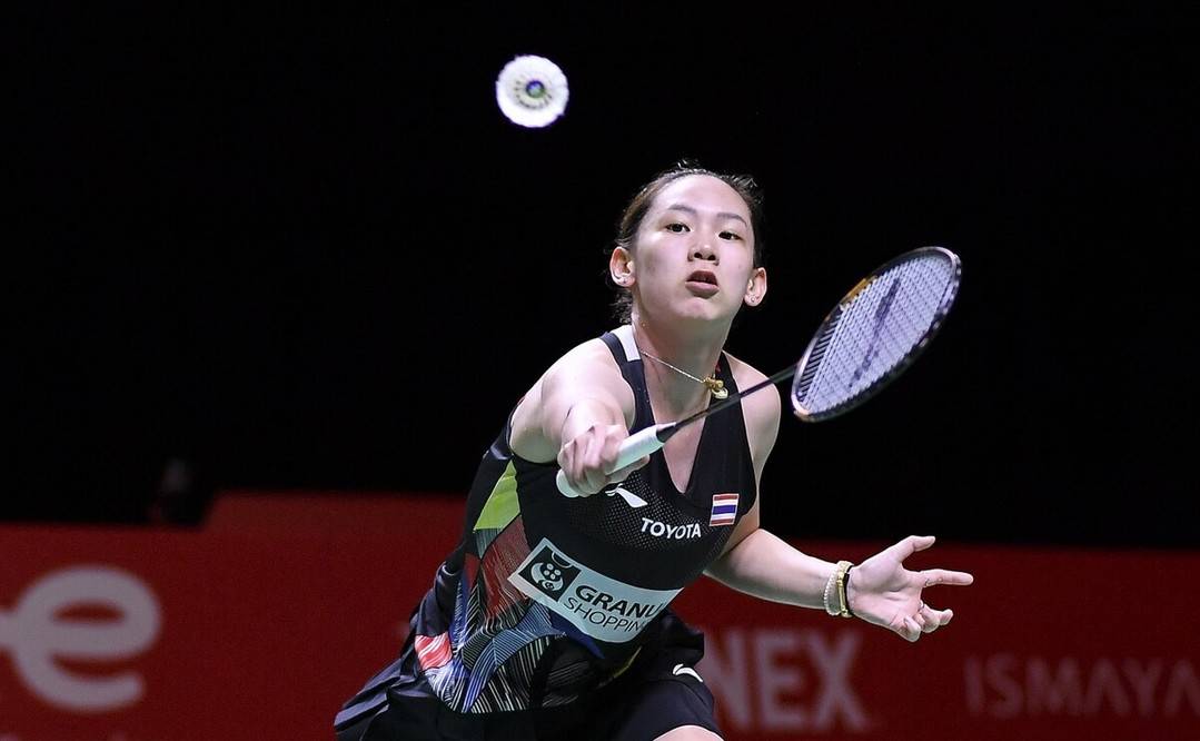 球迷们的激 球迷们的激