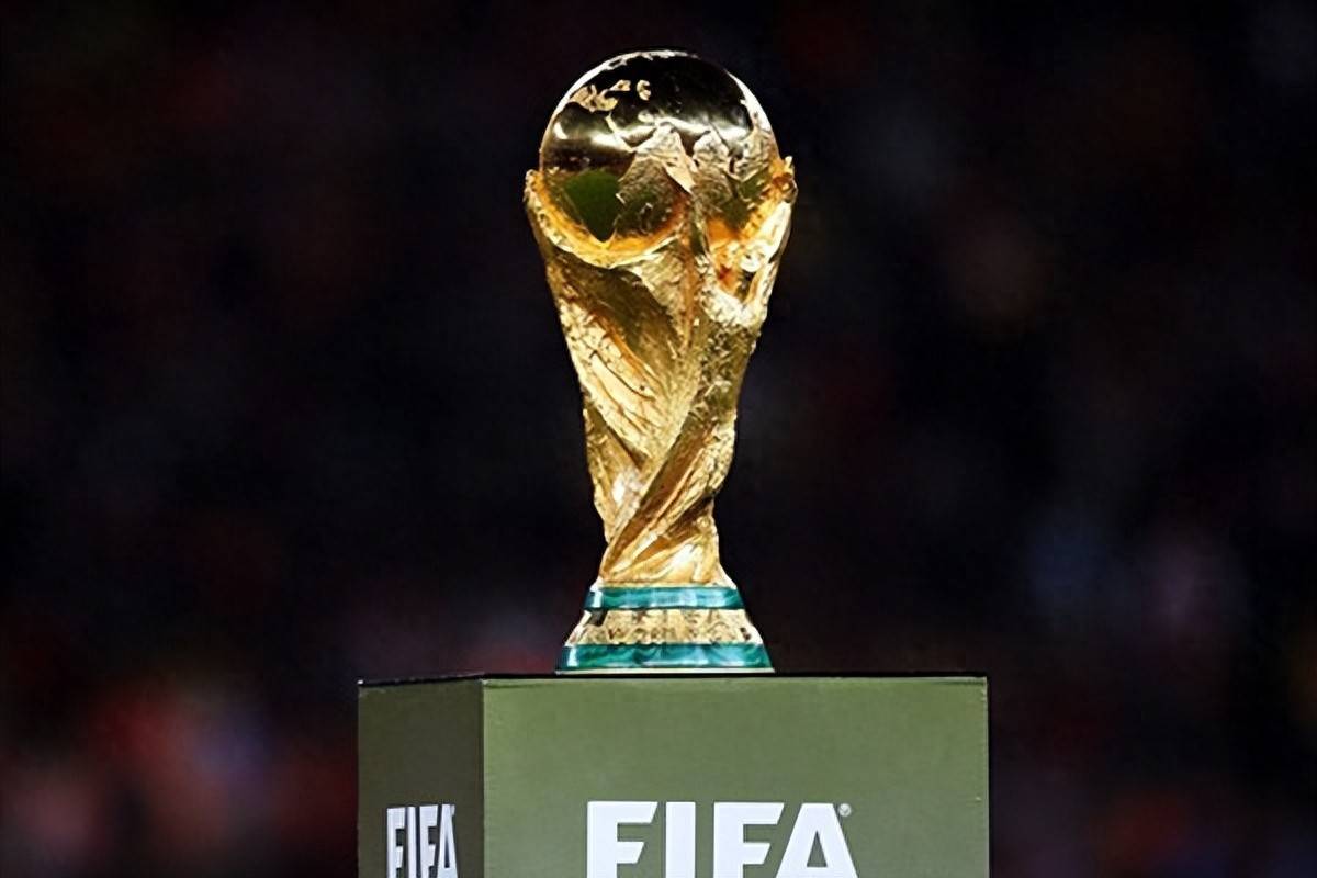 他们的表现 他们的表现