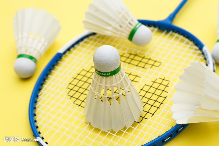 一球定音的 一球定音的